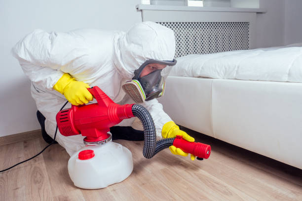 Wasp Removal Services in Discovery Harbour, HI