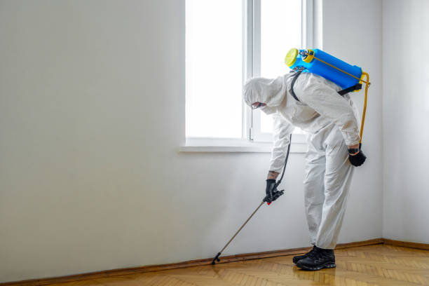 Best Best Pest Control Companies  in Discovery Harbour, HI