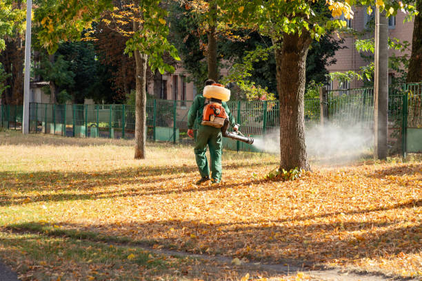 Best Wasp Removal Services  in Discovery Harbour, HI