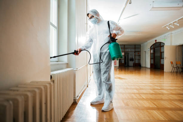 Best Flea Control Services  in Discovery Harbour, HI