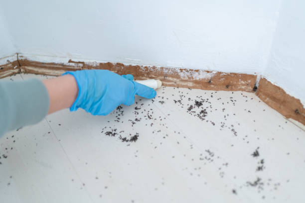 Best Wildlife Control Services  in Discovery Harbour, HI