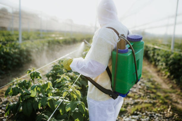 Reliable Discovery Harbour, HI Pest Control Solutions